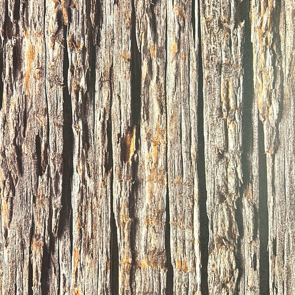 Scrapbook Paper! Wood Backgrounds & Textures! 12x12” - Picture 9 of 17